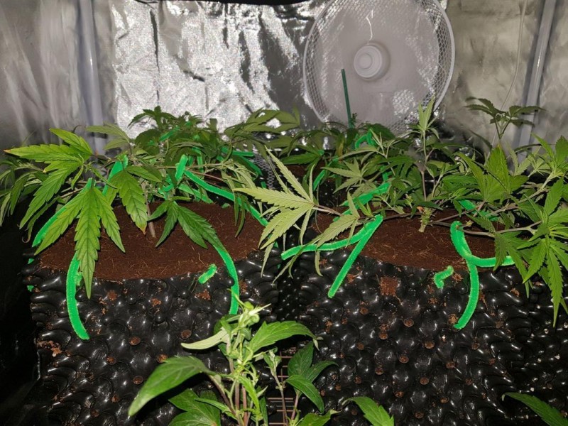 IMG-20180112-_WA0080