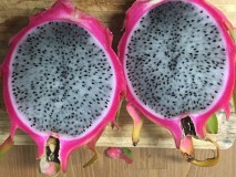 Dragon fruit