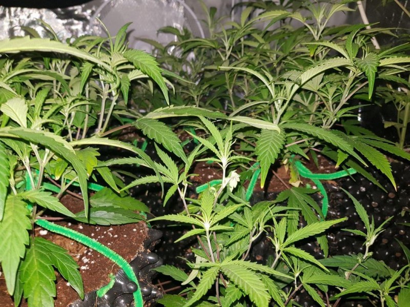 IMG-20180121-_WA0065