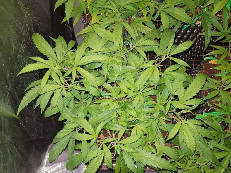 IMG-20180121-_WA0068