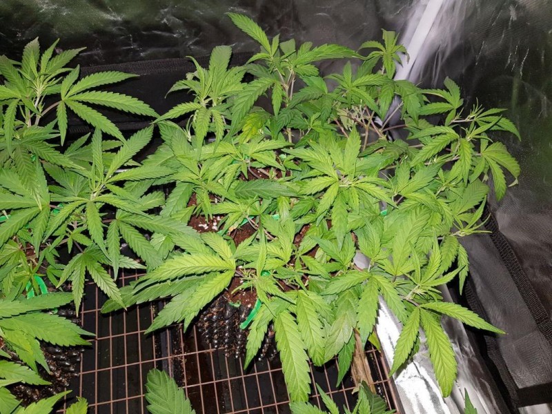 IMG-20180123-_WA0112