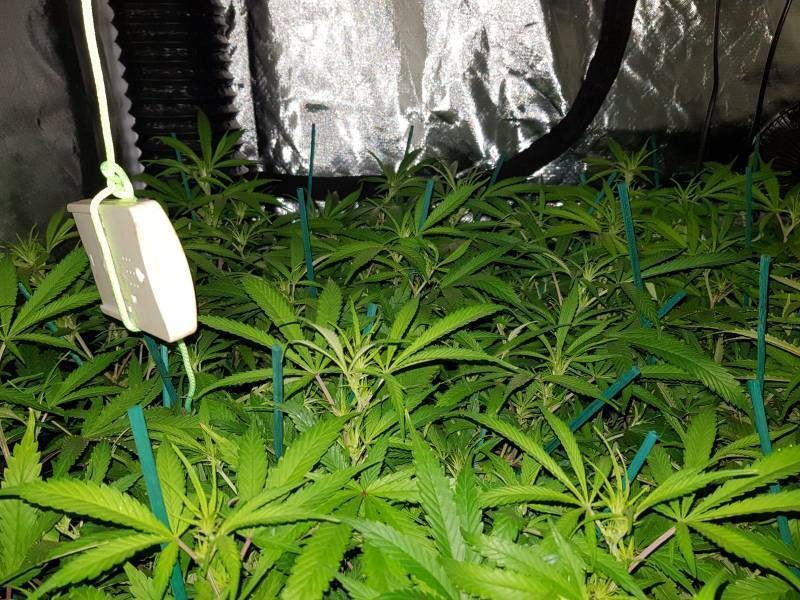 03434ddc47081852d86eb1bfb4f8699d