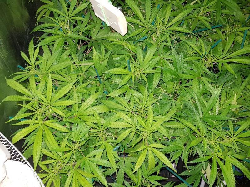 b00a6977ecc057fccd66aad5053d6d9d