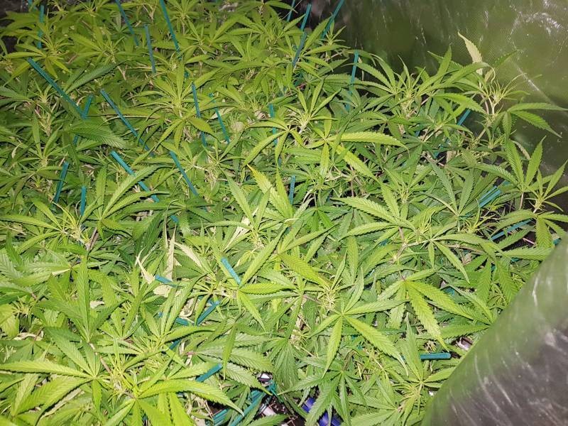 ea20df95fbb6b27cb3e7d29d99be37bc