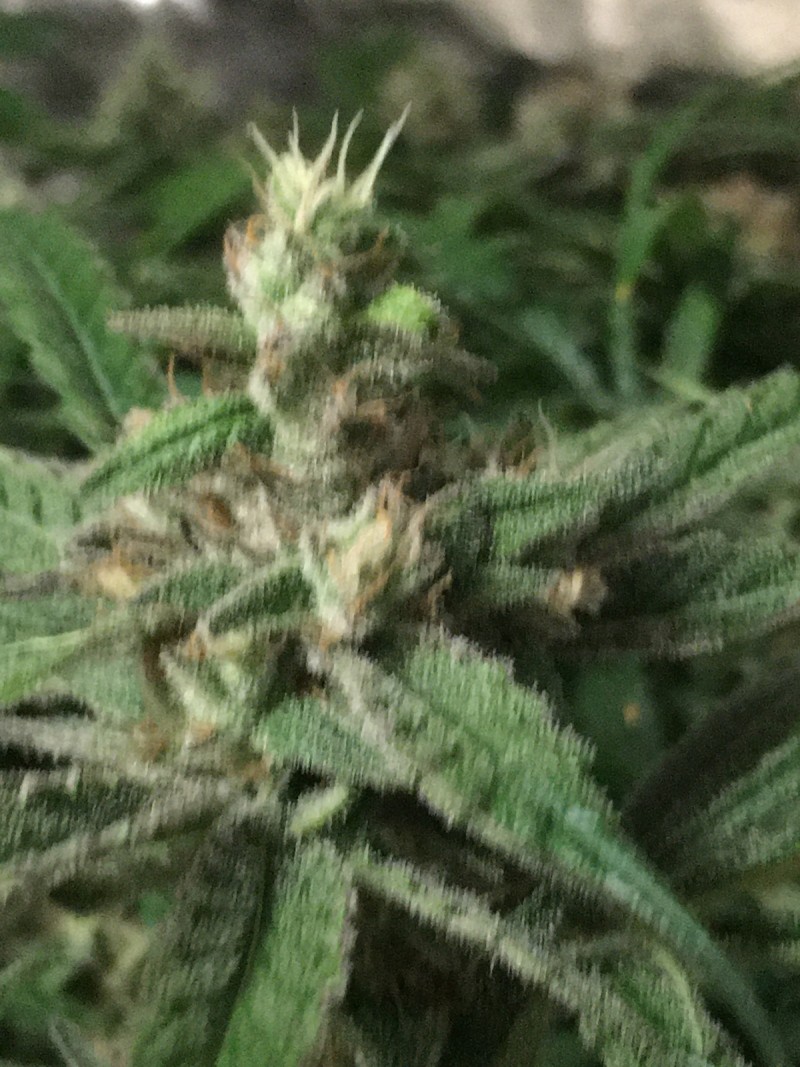 CB905704-46B6-46CD-BE34-2A0E31D44122