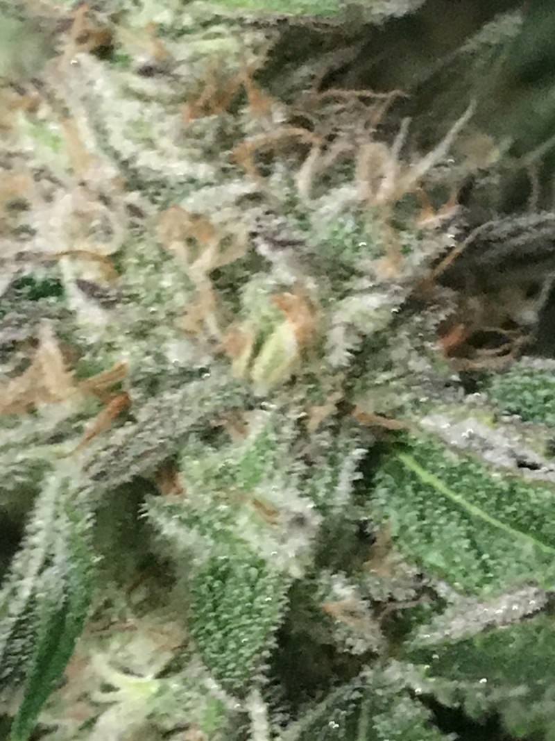 E8B99484-695F-41A9-A900-73A806BB4F77