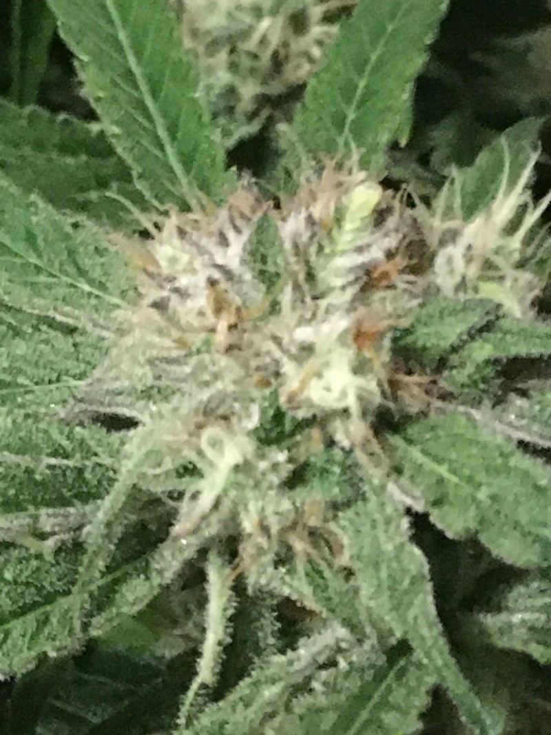 0EC3B8F6-6A92-40C8-98CB-95BB16D25503