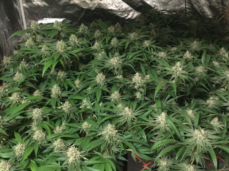 C885DBEC-DF15-42B8-97E5-7AA3F1BC0EE5