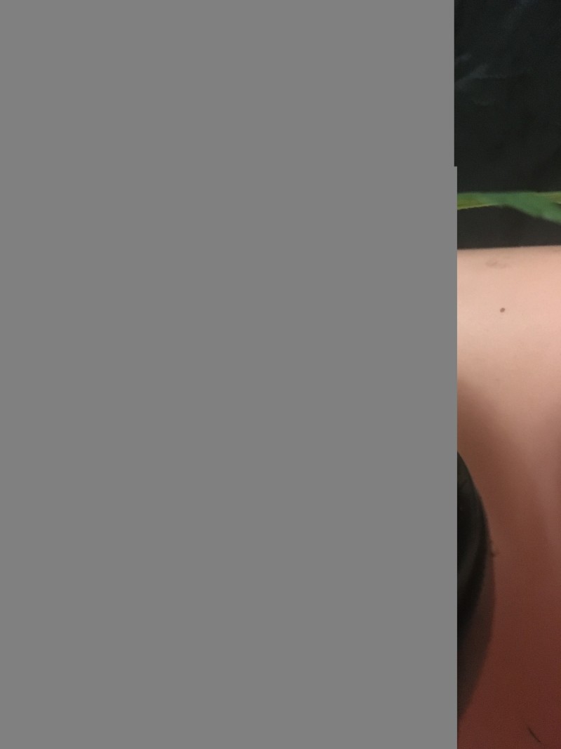 seedstockers white widow