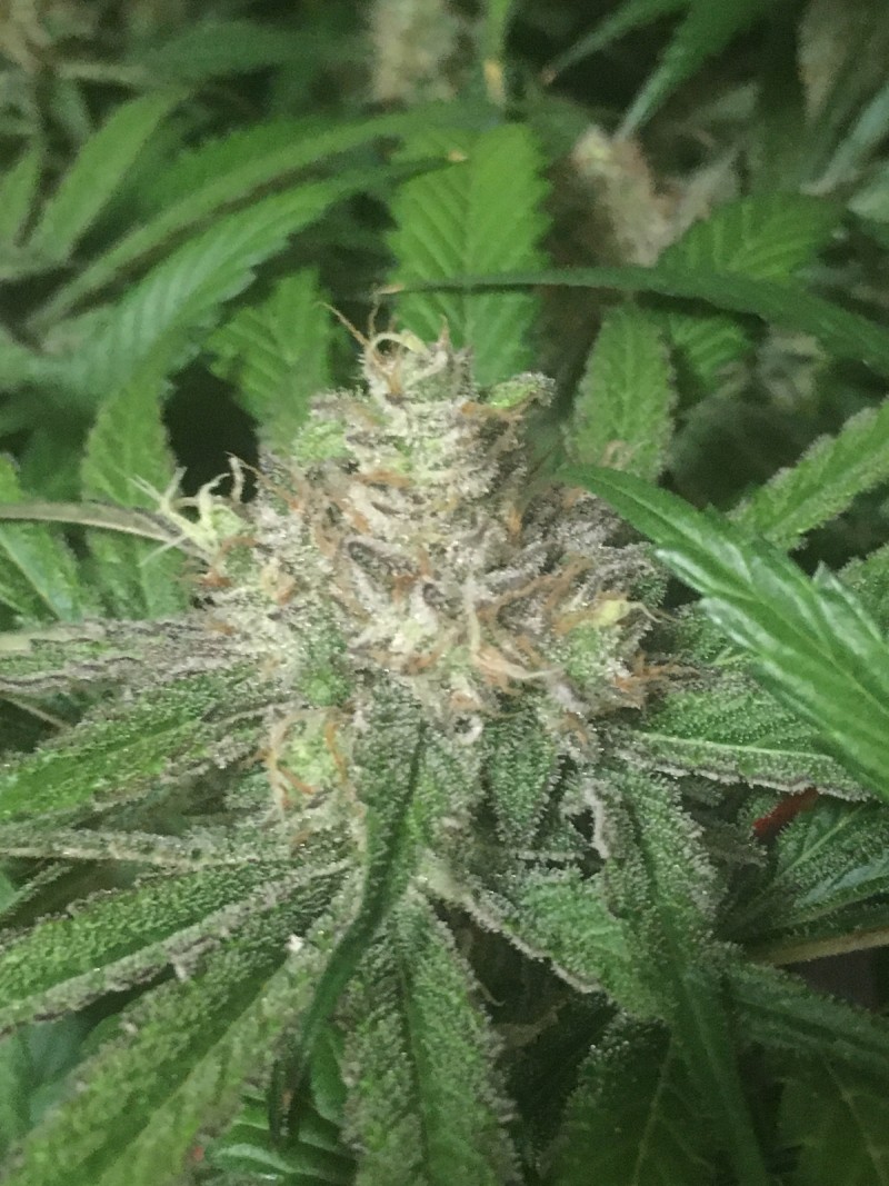 0FB6FCE4-0601-4D59-A5D4-D47C44103572