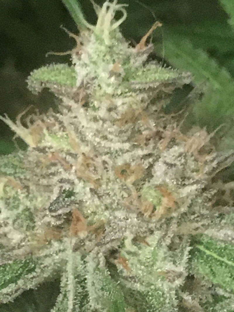 1771A185-176B-43AC-A2A4-03EC4E25CE5A