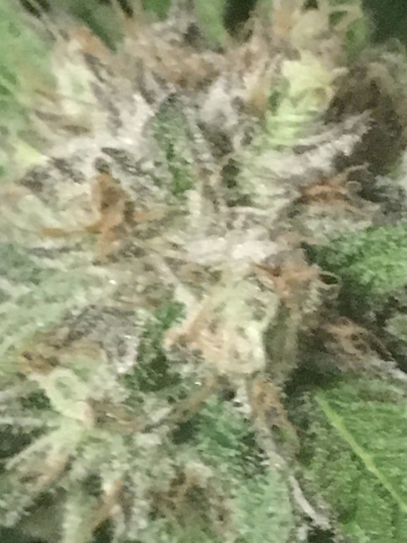 B2C71FE2-47D1-4773-9096-FF1A789875B0