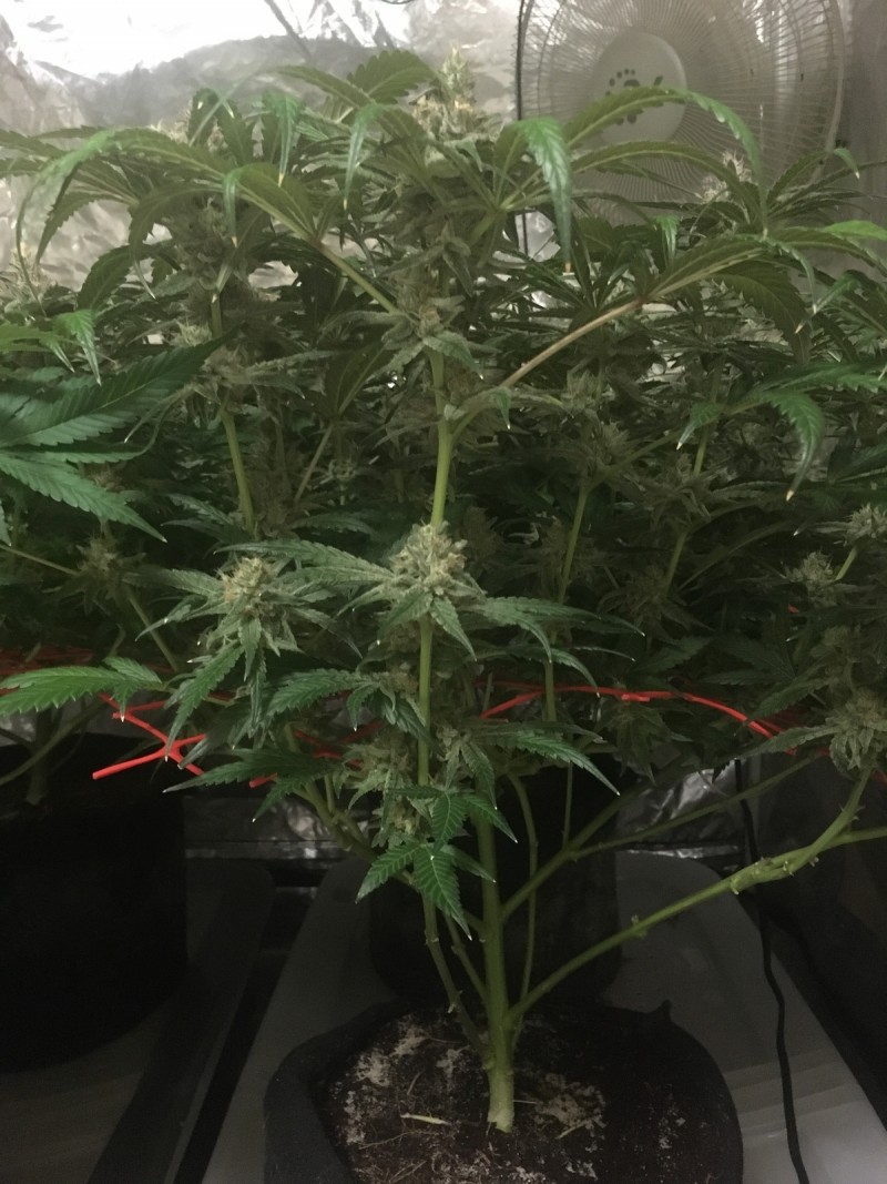 10ACB449-A2AE-42A5-A3C4-C1529364D76F