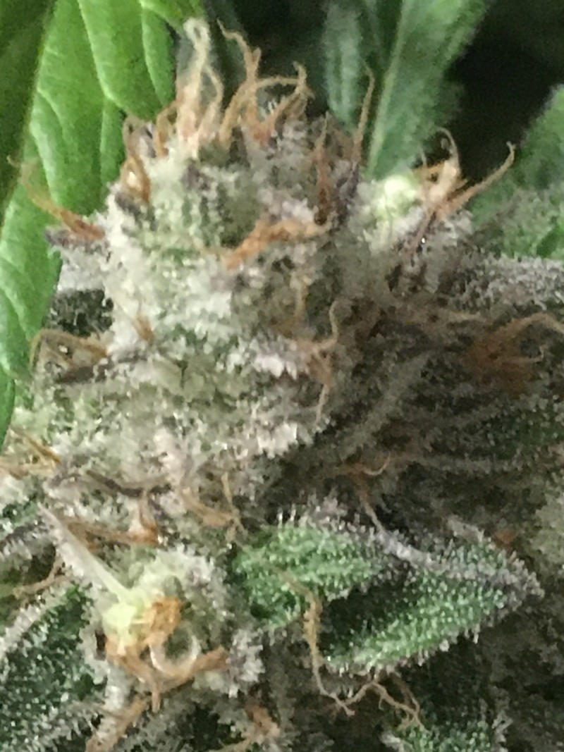 B6156CFE-3863-40DB-A2A0-BF437E2F5D8B