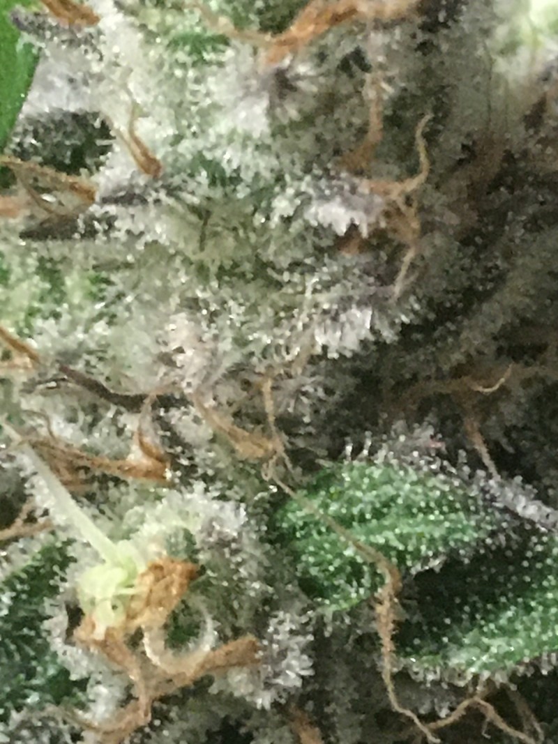 25DA5855-F6A6-4F66-9A79-2082CD4B7CBD