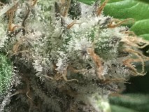 146F6030-2E40-4E88-A122-44977A0C5D49