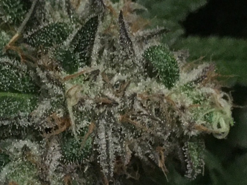 D2BB2020-73BC-47E9-AC54-6D738585AA1B