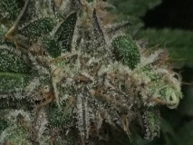 D2BB2020-73BC-47E9-AC54-6D738585AA1B