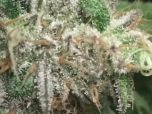 880B0A1A-7547-4E56-91B1-A209D66E7B24