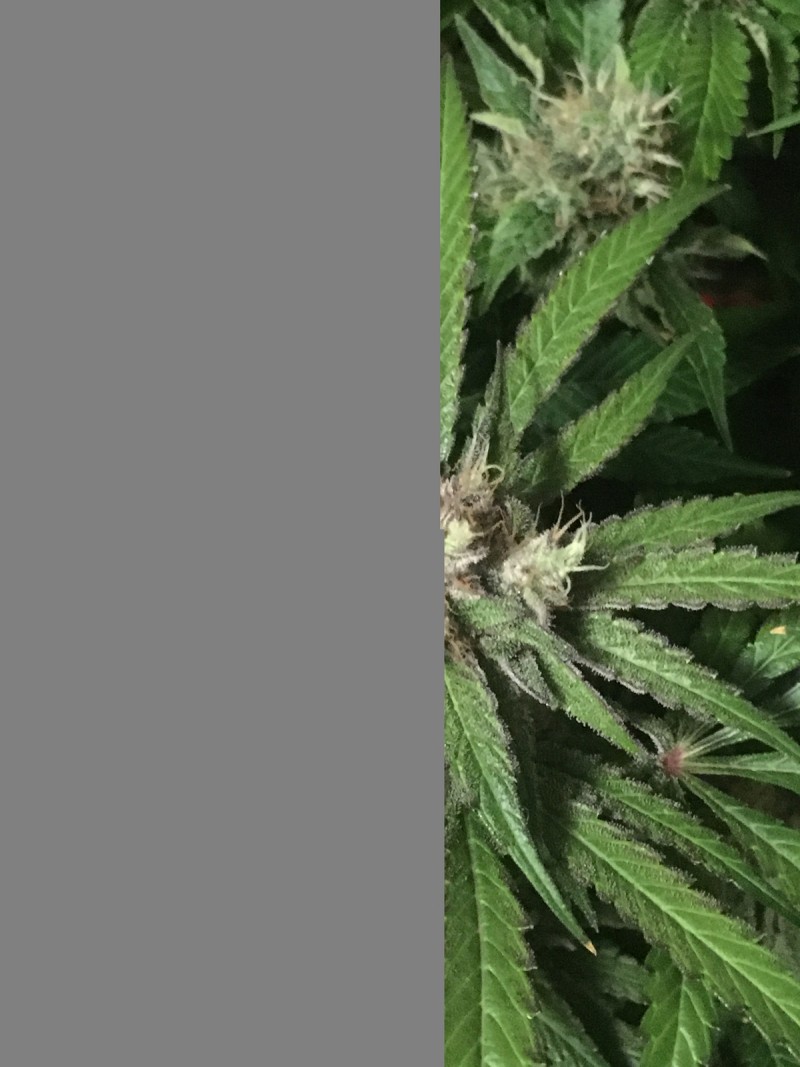 F1A7E007-E90E-409E-9ADB-CBFD1EB9B833