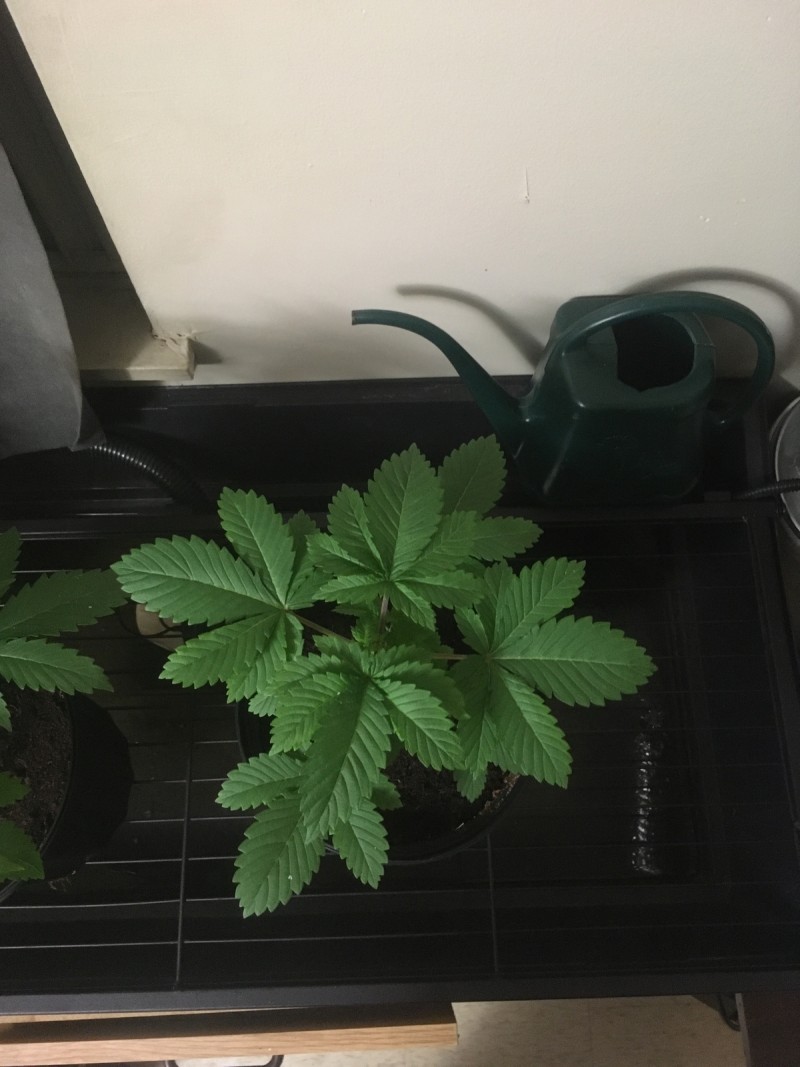 6DD3FB10-3AA9-4741-A8A6-D071F7C5B212