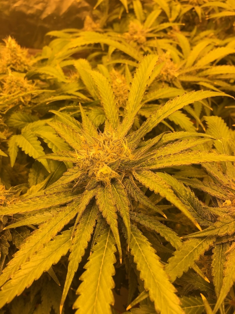 2648BCD5-2318-48E6-948A-B617F69D11AE