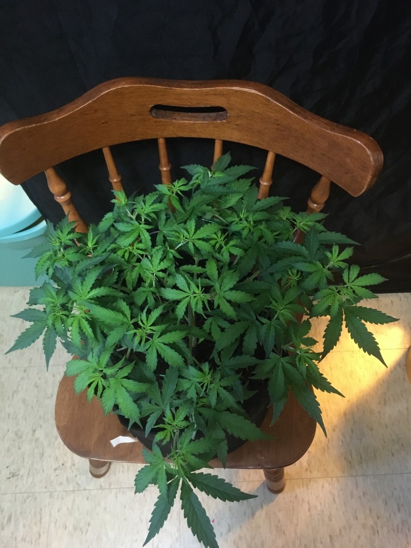 794B78FA-45E9-484E-80F5-7EF646C247BE