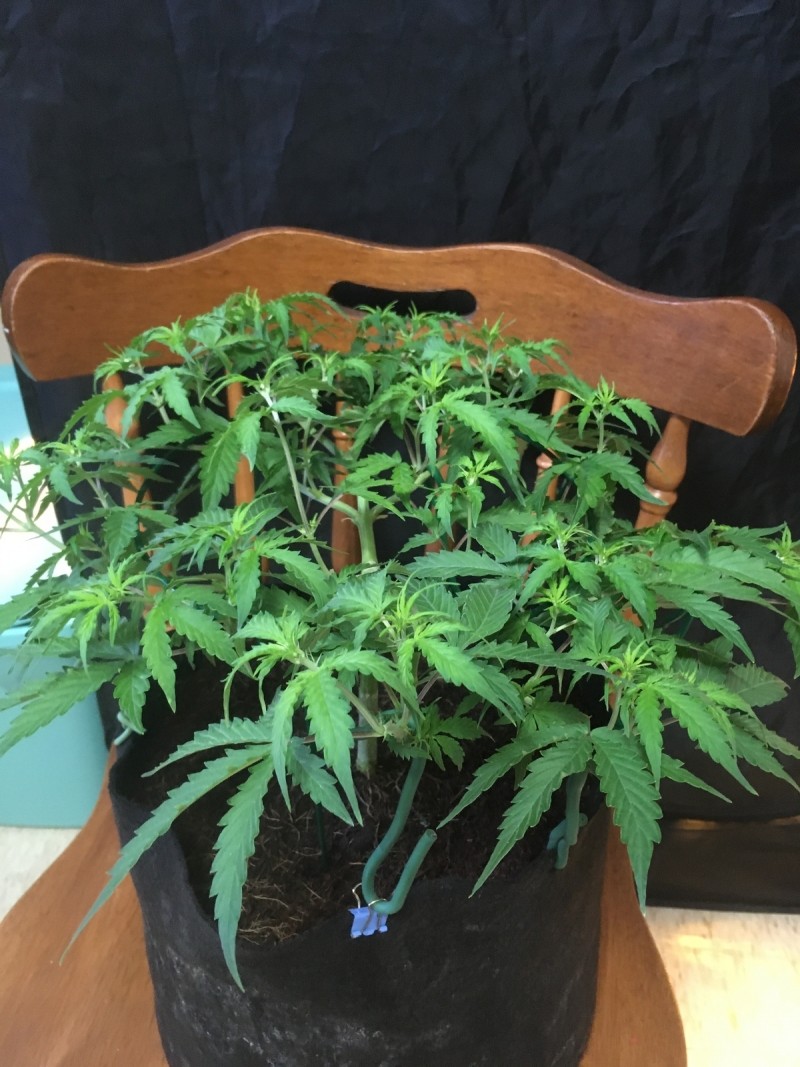 2D06246A-34BF-4DC1-99F3-7C73F92995CA