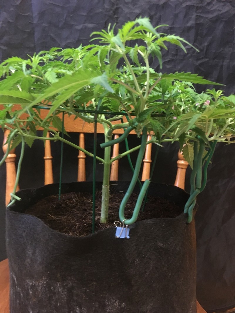 C5E7FDC5-2B69-45D3-91BB-0C6CB9282B3F