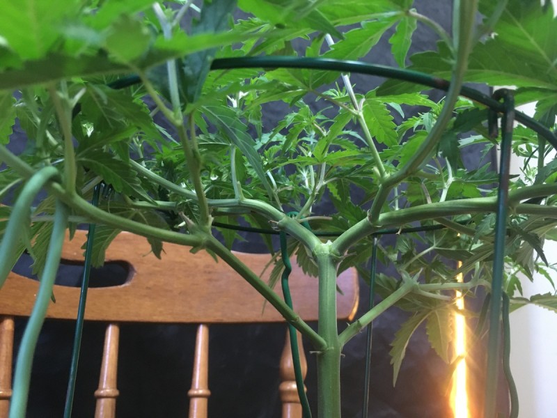 06014CFA-A403-481F-A192-5068ABFA4CF9