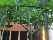 06014CFA-A403-481F-A192-5068ABFA4CF9