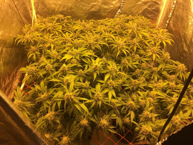 997D278B-EF8A-43C8-BABB-CFC1998FBDFC