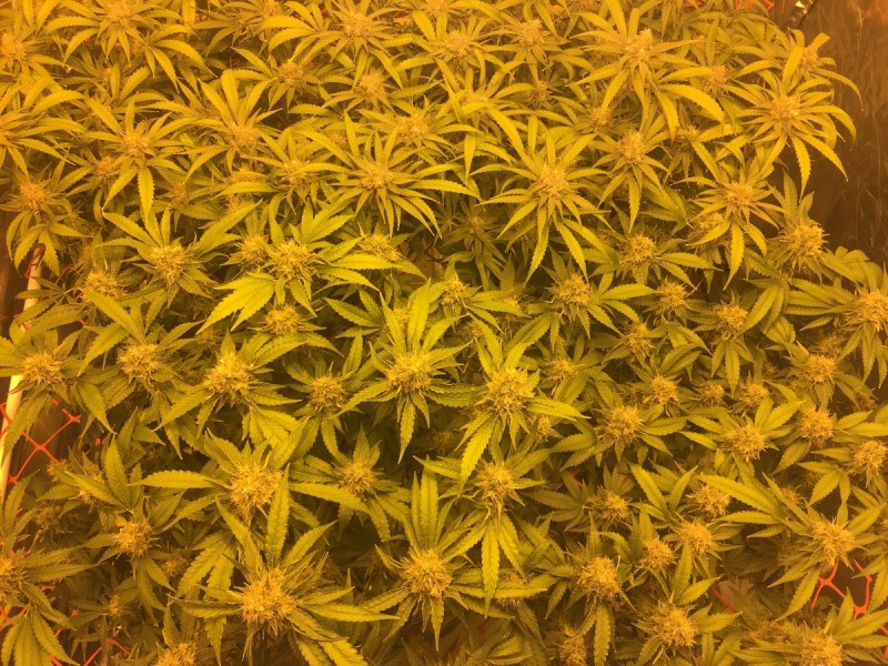 DC23769F-02CB-4754-89B9-0DAF1890AC38