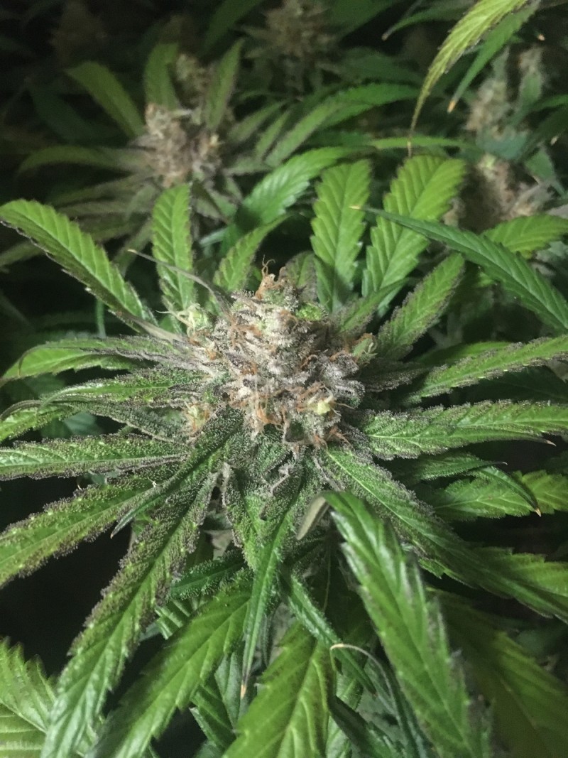 2C7640C2-7227-4371-ABED-1628A14B4CB5