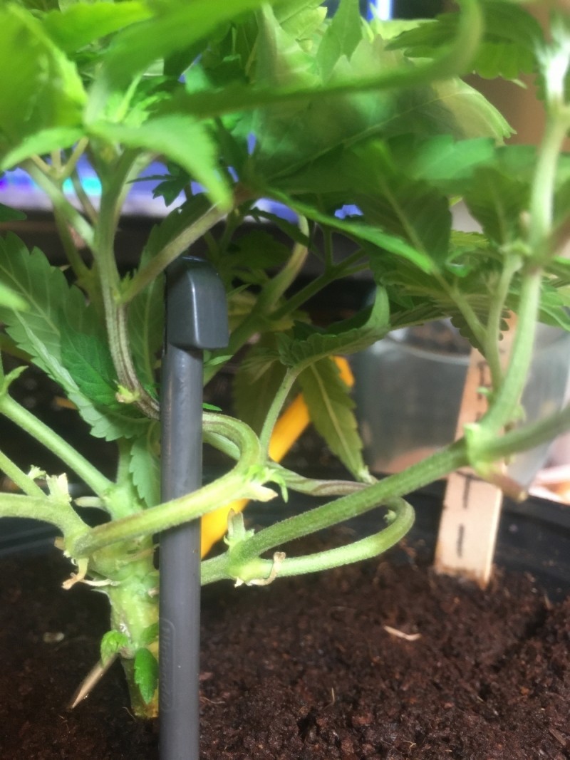 61B7734E-8863-46EF-83A9-E35BFD9CA5A3