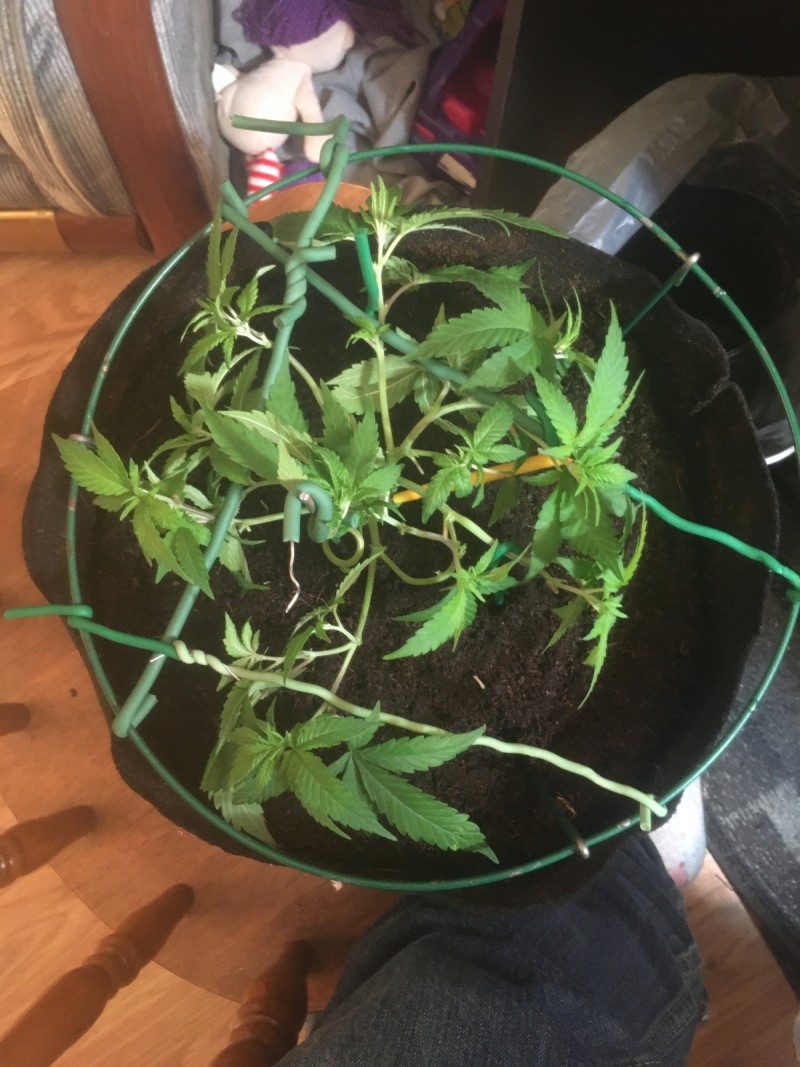 D61063D5-6AB8-46C6-B314-1DE22C051F0C