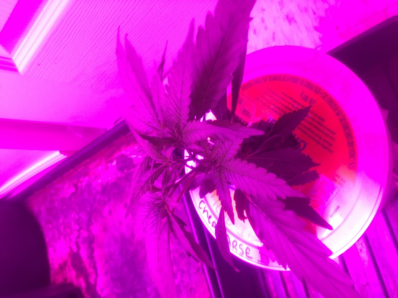 410AE377-90DF-4980-8A35-F6B999B92E1F