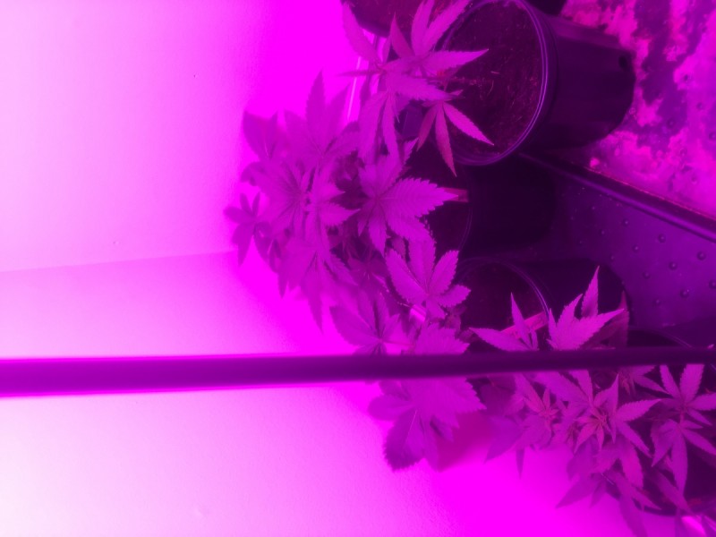 ECCA936F-60DD-4534-B1AE-E06A68734974