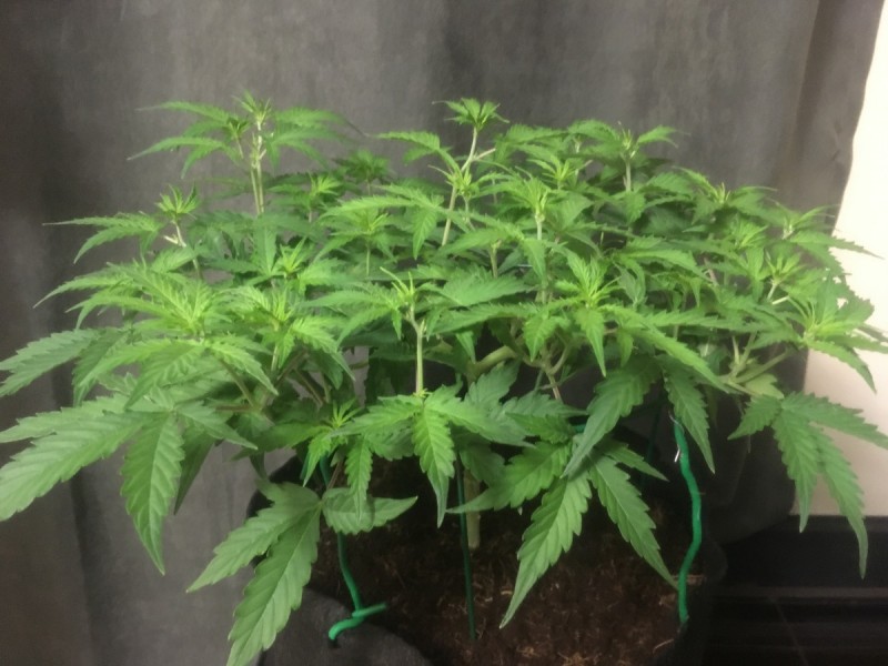 C7EFBF19-C16A-4019-B2F1-6DE94E8F9CA9