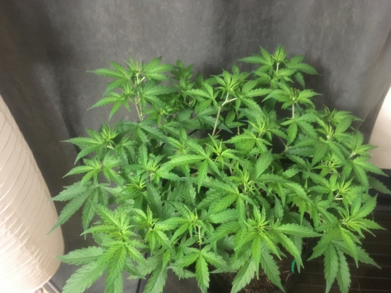 1F163FAC-E90F-4028-8828-251BAF15CDC3