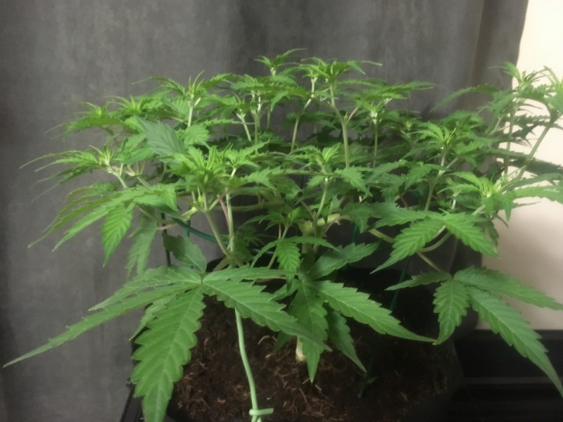 778BD51F-76A2-447E-87AD-FAE9B9D978F3