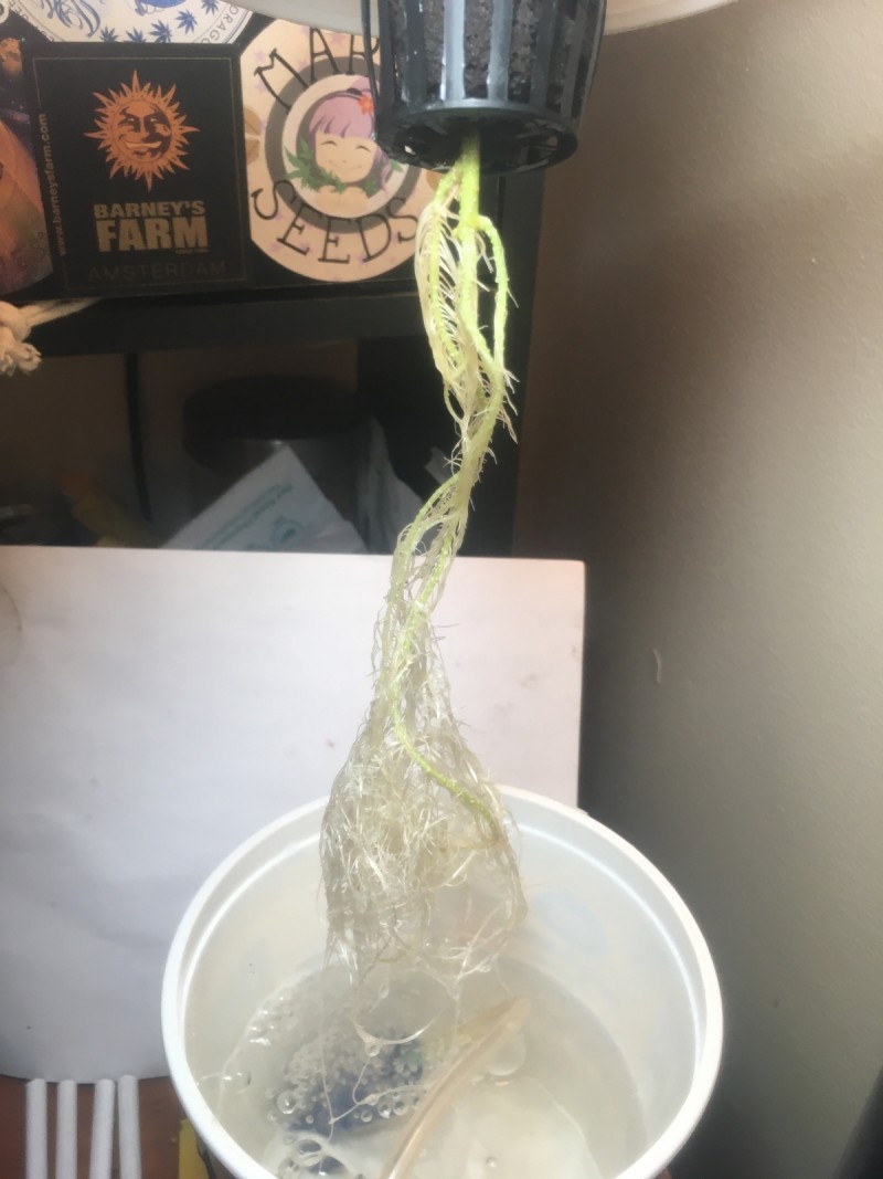 BA2BDD20-B86B-4D58-A5C6-4AD5A6788774