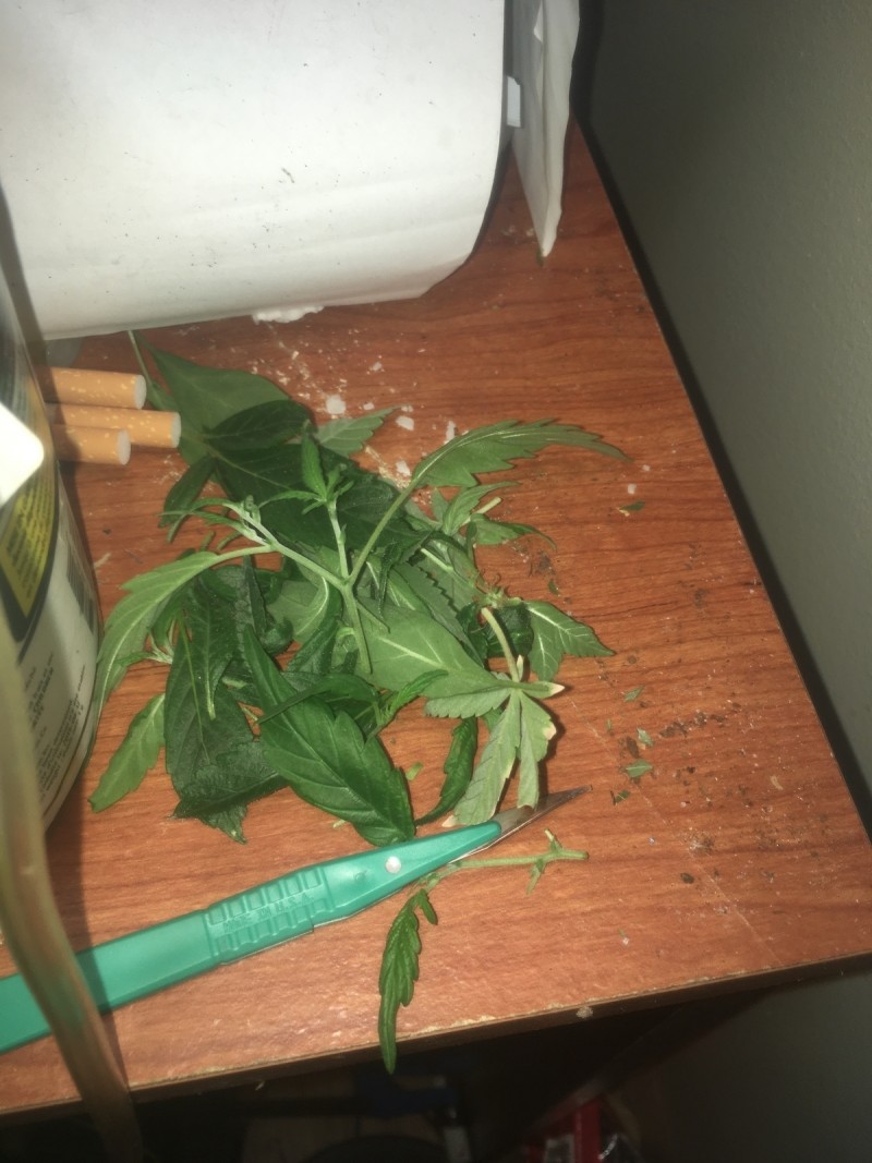 71C14839-0B96-485E-8675-EC53EB714E93