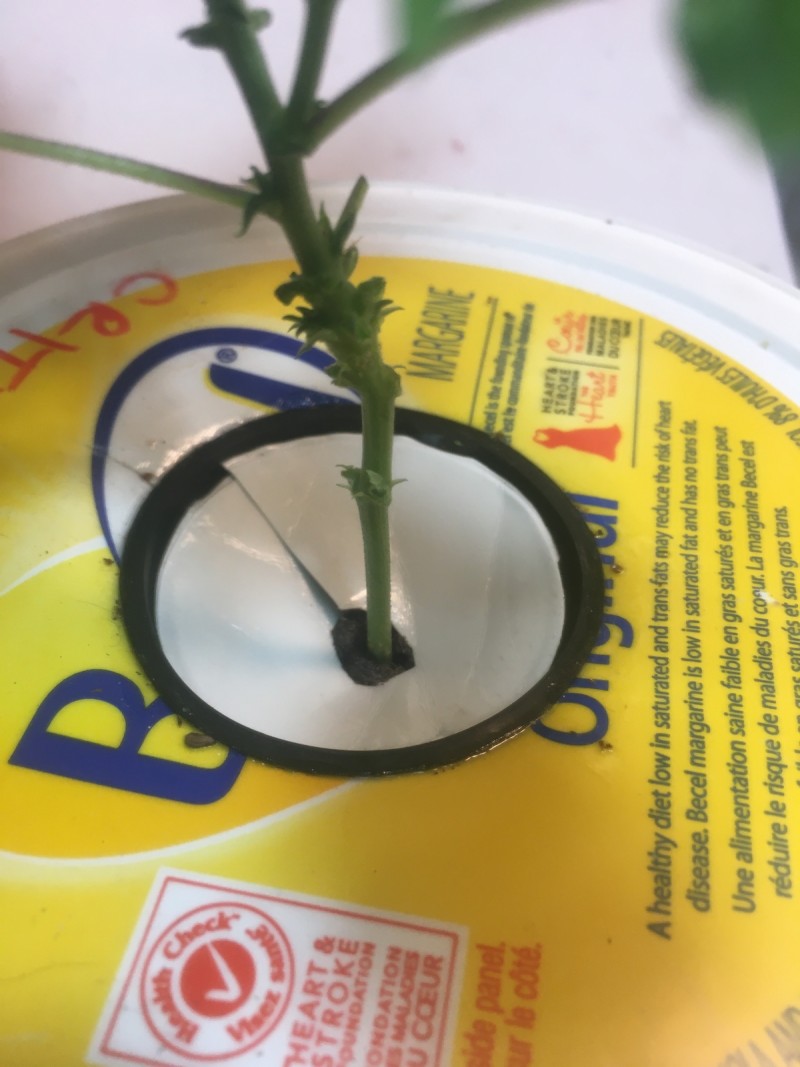 570BA50B-25C5-4D83-9926-26561FC61A5F