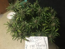 71EDC801-521B-484C-A35C-FB3558E6BCA9