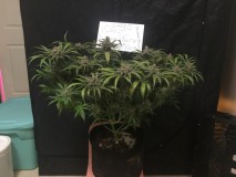 C7E41460-282C-4F87-BB08-A83999C2C659