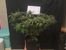 40949A38-E71E-4F4C-80B9-487C032C0E80