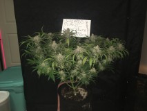 3DE40EC1-0D0E-46EE-BC58-57F7D8D978D2