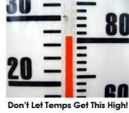 marijuana-growing-temperature-sm