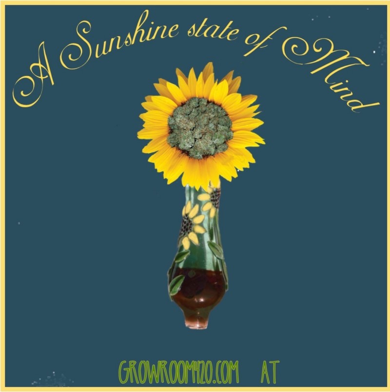 Vintage-09-11-2019_15h17m55s